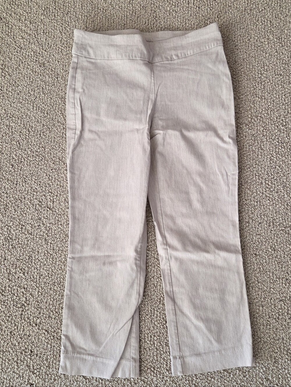 Briggs Size 6 Light Beige Capri Stretch Dress Pants